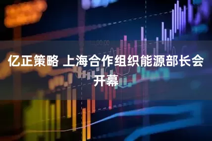 亿正策略 上海合作组织能源部长会开幕