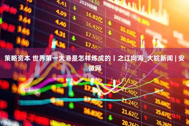 策略资本 世界第一大港是怎样炼成的丨之江向海_大皖新闻 | 安徽网