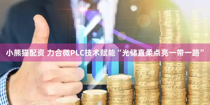 小熊猫配资 力合微PLC技术赋能“光储直柔点亮一带一路”