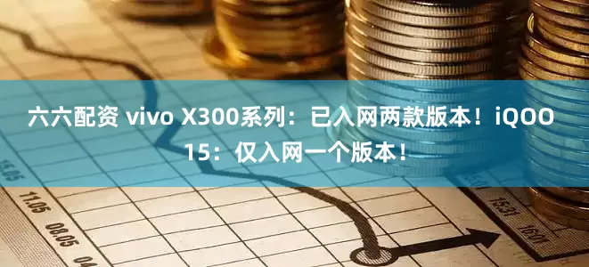 六六配资 vivo X300系列：已入网两款版本！iQOO 15：仅入网一个版本！